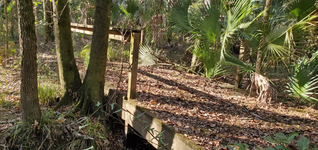 Bridge #1 from the approach — the original structure still in place after years of neglect