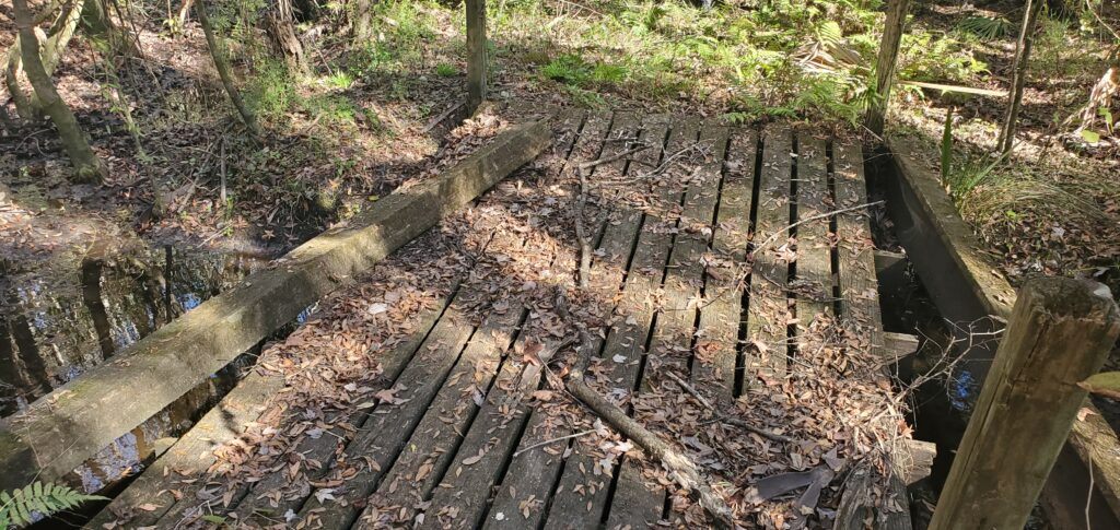 Bridge #2 as originally found — rotting, warped boards covered in debris
