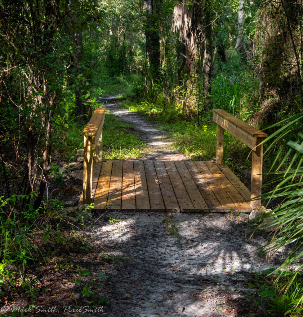 Bridge #3 freshly built, dappled light across new lumber — photo by Mark Smith, PixelSmith