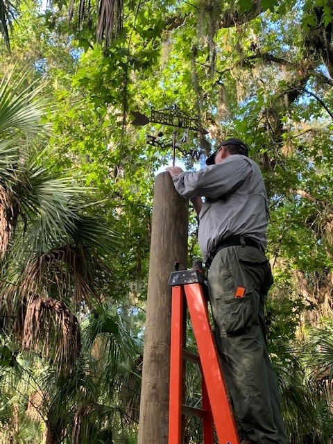 Close-up of the hand-painted National Park Service arrowhead sign — bison, sequoia, mountains